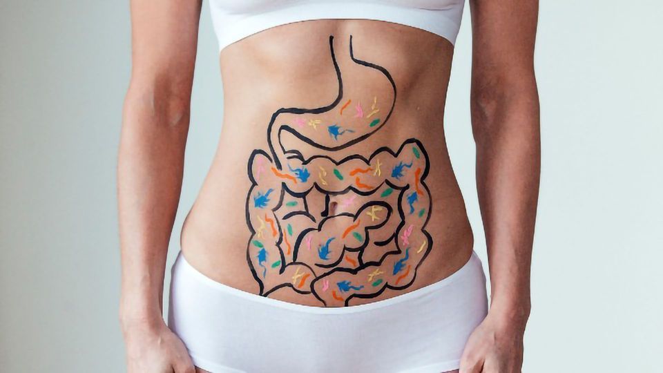 Gut Microbiome